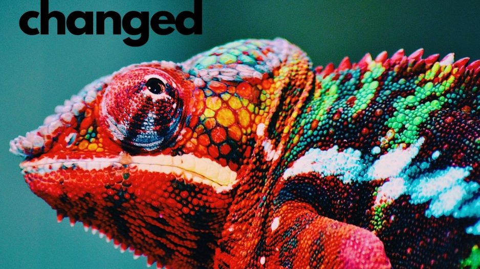 everything has changed